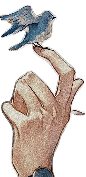 hand holding bird